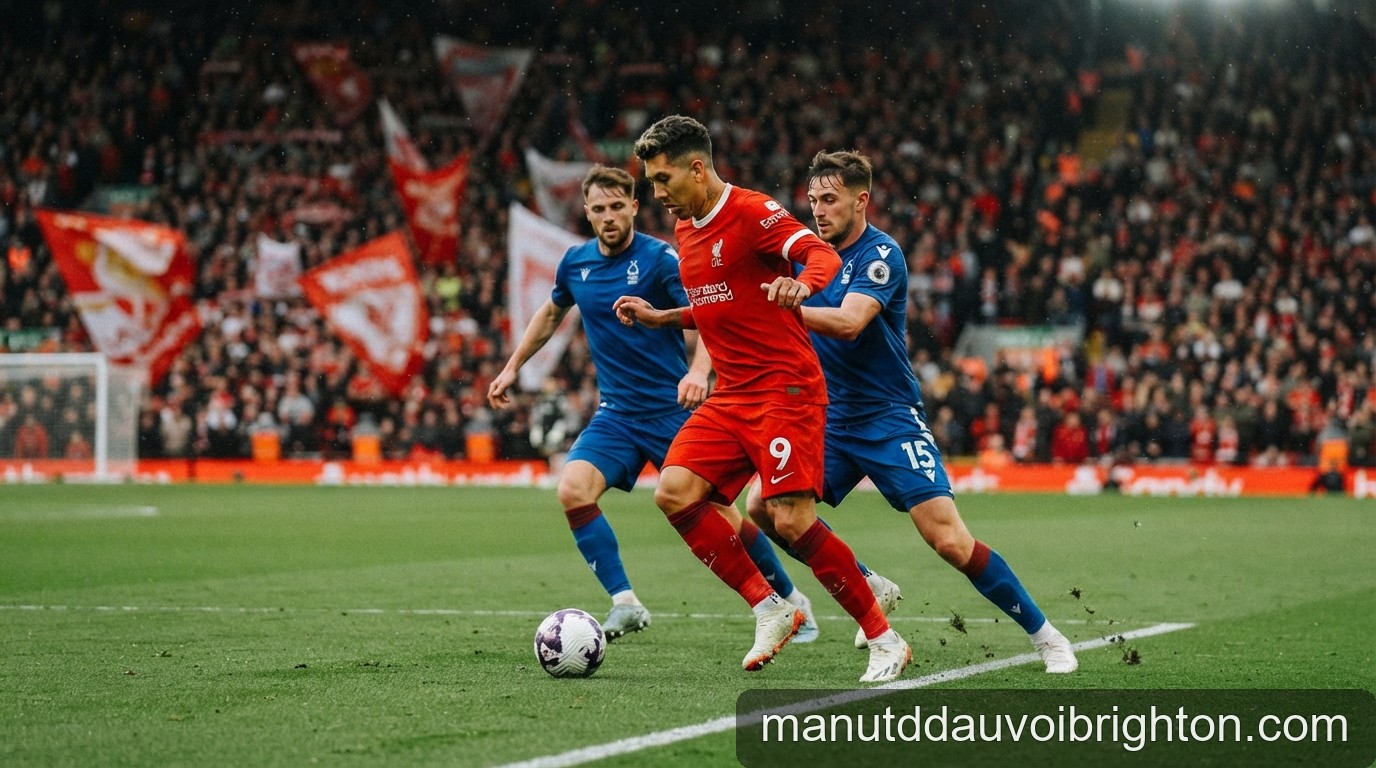 Nhận định Premier League vòng 2: Liverpool vs Nottingham Forest – Cơ hội bứt phá cho The Kop - 2
