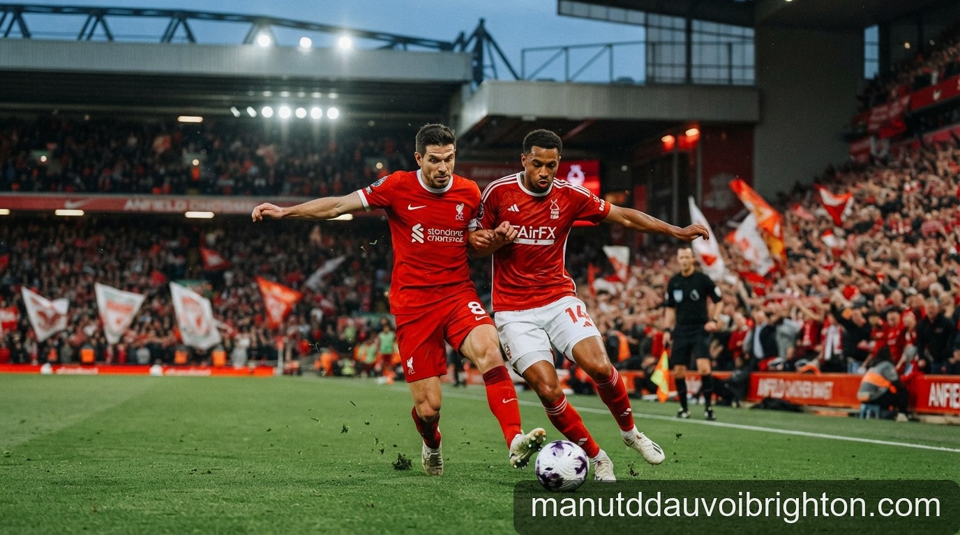 Nhận định Premier League vòng 2: Liverpool vs Nottingham Forest – Cơ hội bứt phá cho The Kop